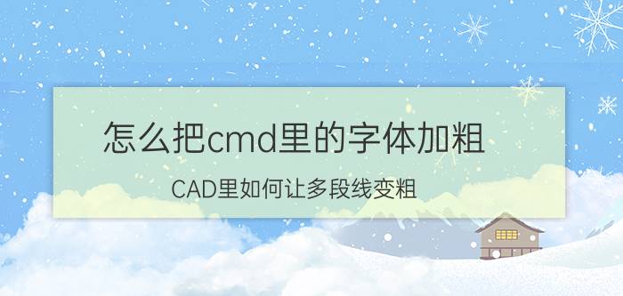 怎么把cmd里的字体加粗 CAD里如何让多段线变粗？